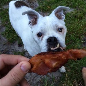 Meet your Posher, Alison